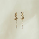 Seashell Earrings