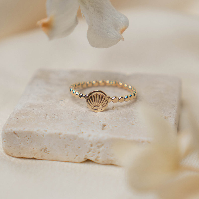 Shell Ring